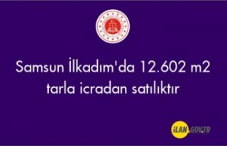 Samsun İlkadım'da 12.602 m2 tarla icradan satılıktır