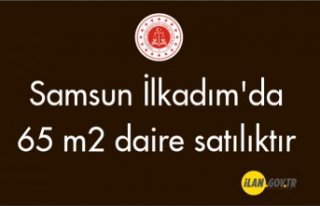 Samsun İlkadım'da 65 m² daire mahkemeden satılıktır
