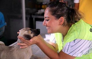 Ses sanatçısı 15 gündür sel bölgesinde sokak...