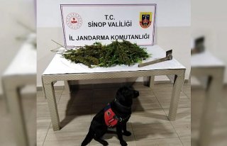 Sinop'ta uyuşturucu operasyonunda 2 şüpheli yakalandı