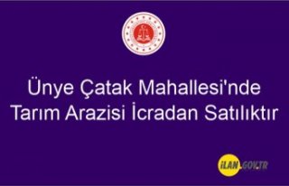 Ünye Çatak Mahallesi'nde tarım arazisi icradan...