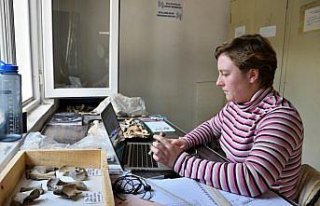 ABD'li zooarkeolog, Hattuşa'da Hititlerin hayvanlarla...