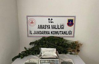 Amasya'da uyuşturucu operasyonunda bir kişi tutuklandı