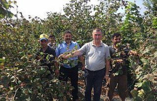 Çarşamba Ziraat Odası Başkanı Aydemir'den...