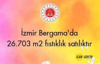 İzmir Bergama'da 26.703 m² fıstıklık icradan...