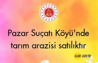 Pazar Suçatı Köyü'nde tarım arazisi mahkemeden...