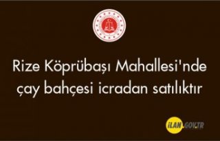 Rize Köprübaşı Mahallesi'nde çay bahçesi...