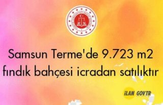 Samsun Terme'de 9.723 m² fındık bahçesi icradan...