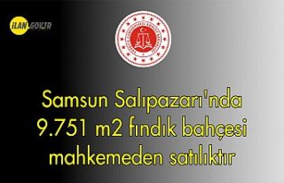 Samsun Salıpazarı'nda 9.751 m² fındık bahçesi...
