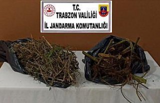 Trabzon'da uyuşturucu operasyonunda 6 kişi yakalandı