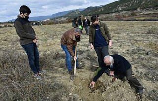 Boyabat'ta 11 Kasım Milli Ağaçlandırma Günü...