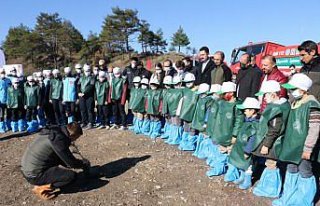 Göynük'te fidanlar toprakla buluştu