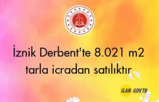 İznik Derbent'te 8.021 m² tarla icradan satılıktır