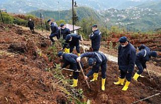Karadeniz'deki 5 ilde Milli Ağaçlandırma Günü'nde...
