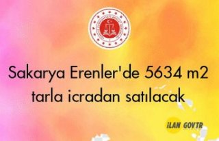 Sakarya Erenler'de 5634 m² tarla icradan satılacak