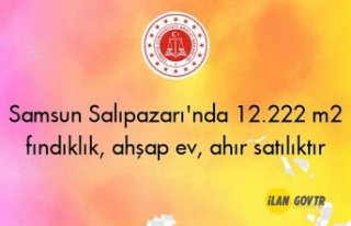 Samsun Salıpazarı'nda 12.222 m2 fındıklık,...