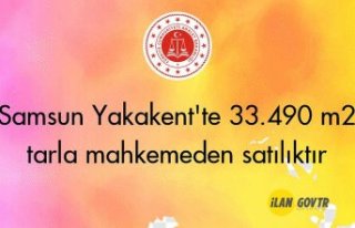 Samsun Yakakent'te 33.490 m2 tarla mahkemeden...