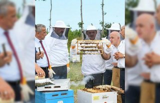 Samsun Büyükşehir Belediyesi'nden arı üreticilerine...