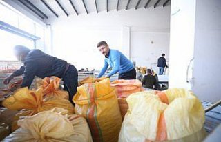 TMO Genel Müdürü Güldal, fındık alım kampanyasını...