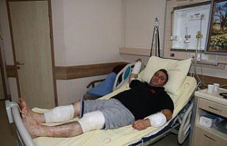 Tokat'ta ayı saldırısı sonucu yaralanan kişi...