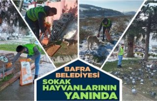BAFRA BELEDİYESİ CAN DOSTLARINI YALNIZ BIRAKMIYOR