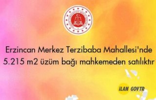 Erzincan Merkez Terzibaba Mahallesi'nde 5.215...