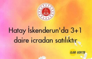 Hatay İskenderun'da 3+1 daire icradan satılıktır