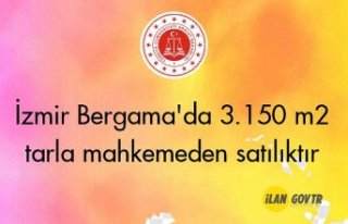 İzmir Bergama'da 3.150 m² tarla mahkemeden...
