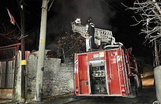 Karabük'te evde çıkan yangında 5 köpek telef...