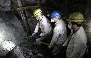 Omuz omuza veren kardeşler taş kömürünü birlikte...