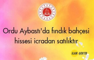 Ordu Aybastı'da fındık bahçesi hissesi icradan...