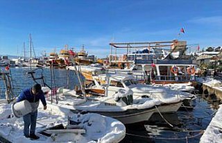 Sinop'ta kar yağışının ardından balıkçı tekneleri...