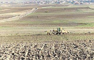 Vezirköprü ilçesinde arazi toplulaştırma çalışmalarına...