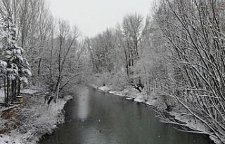 Doğu Karadeniz'de 4 ilde 303 köy yolu ulaşıma...