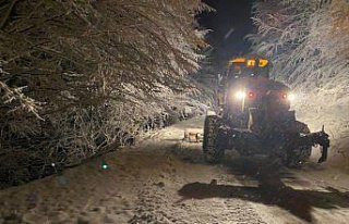 Düzce ve Bolu'da kar nedeniyle 149 köy yolu...