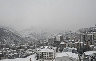 Gümüşhane'de kar etkili oldu