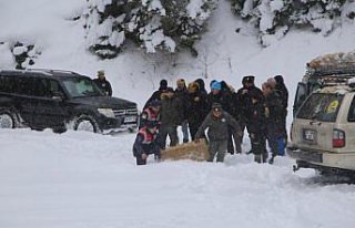 Ilgaz Dağı'nın eteklerindeki yaban hayvanlarına...
