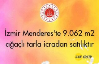 İzmir Menderes'te 9.062 m² ağaçlı tarla...