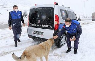 Kavak Belediyesi elverişsiz hava şartlarında sokak...