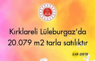 Kırklareli Lüleburgaz'da 20.079 m² tarla mahkemeden...