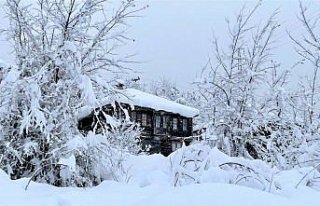 Küre Dağları'nın karla birleşen güzelliği havadan...