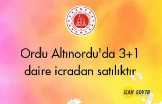 Ordu Altınordu'da 3+1 daire icradan satılıktır