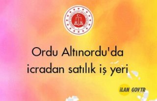 Ordu Altınordu'da icradan satılık iş yeri