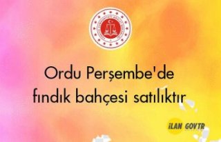 Ordu Perşembe'de fındık bahçesi icradan satılıktır
