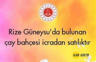 Rize Güneysu'da bulunan çay bahçesi icradan...