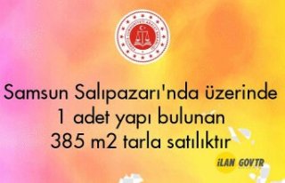 Samsun Salıpazarı'nda üzerinde 1 adet yapı...