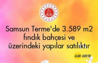 Samsun Terme'de 3.589 m² fındık bahçesi ve...