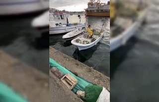 Sinop'ta balıkçılar limanda yanlarına gelen su...