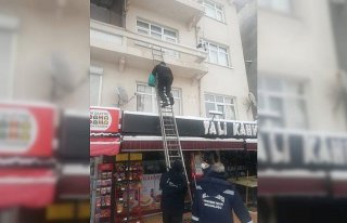 Zonguldak'ta balkonda mahsur kalan yaralı martıları...