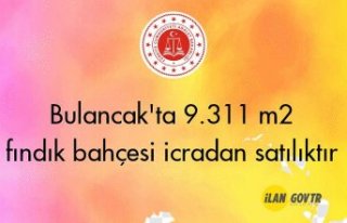Bulancak'ta 9.311 m² fındık bahçesi icradan...
